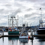 Seaport and moored boats in San Diego