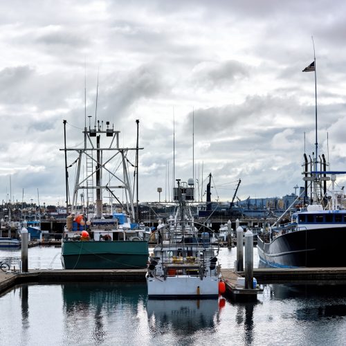 Seaport and moored boats in San Diego